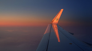 飛行機