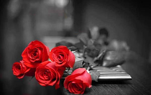 赤い薔薇